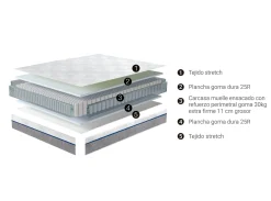 MODELO ACTON