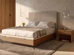 MODELO ARCADIA