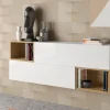 MODELO AULON-G