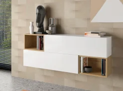 MODELO AULON-G