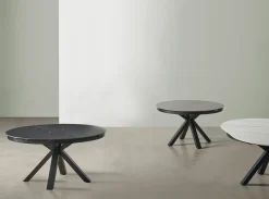 MODELO MURATO