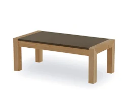 MODELO PINZANO-L